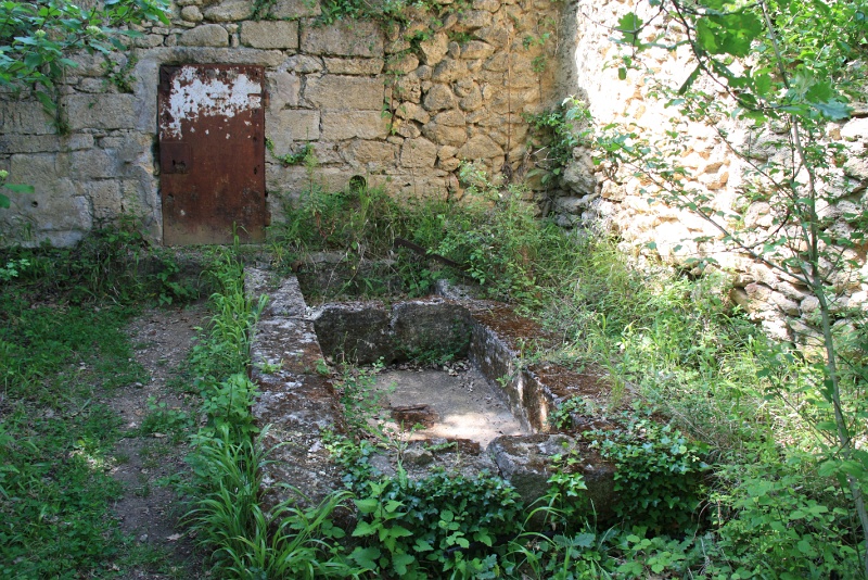 IMG_2168.JPG - ANCIEN BASSIN (LAVOIR? )ET ....