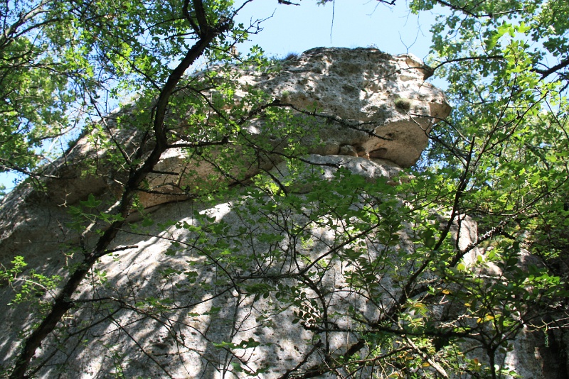 IMG_2214.JPG - FALAISE DU GRAND PUECH 