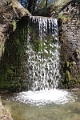 IMG_8873