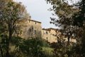 IMG_8581