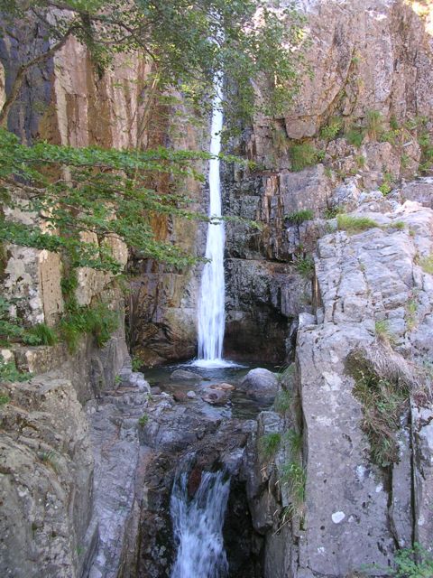 BERGERIES DE TOLLA