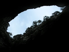 BONIFACIO