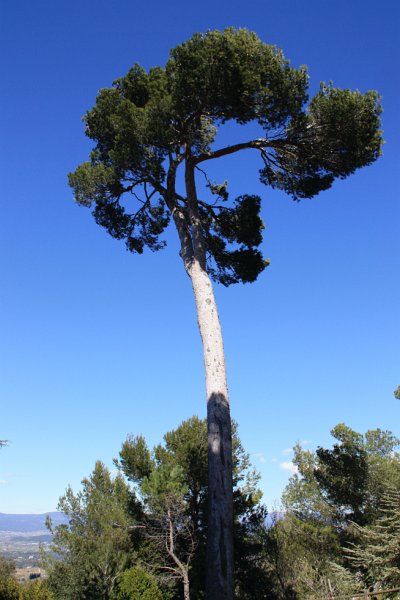 IMG_7795.JPG