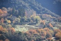 IMG_1849