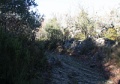 IMG_1862