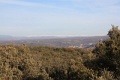 IMG_1965