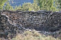 IMG_2091