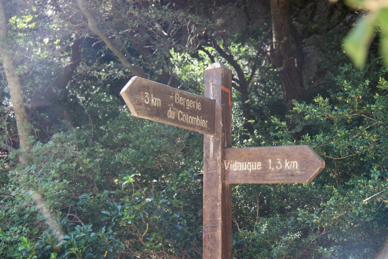 IMG_3633.JPG - NOUS VOILA A LA CROISEE DES CHEMINS / DIRECTION LE VALLON DU COLOMBIER 