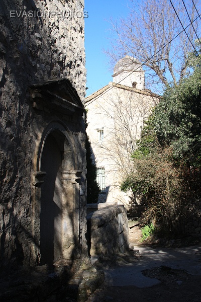 IMG_5376.jpg