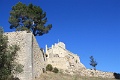 IMG_5393