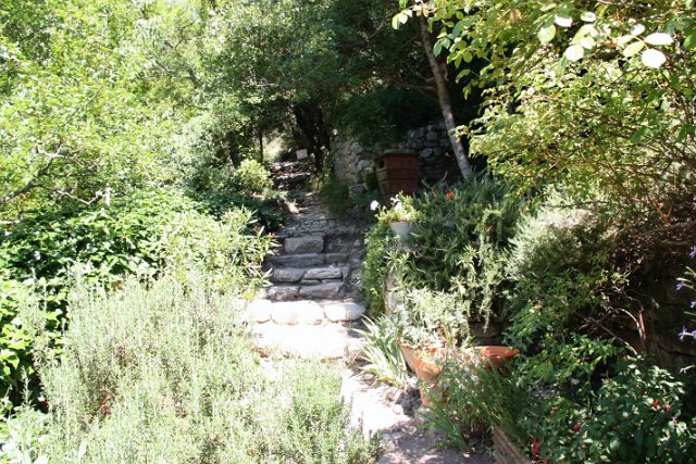 IMG_7959.JPG