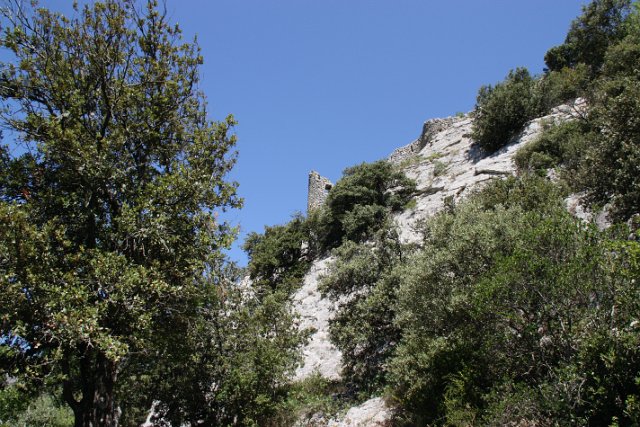 IMG_7960.JPG