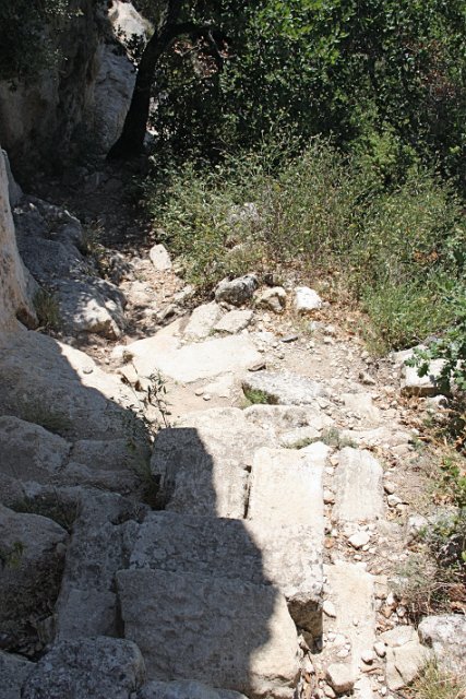 IMG_8144.JPG