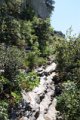 IMG_8150