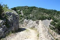 IMG_8407