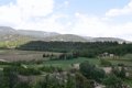 IMG_1042