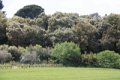 IMG_1081