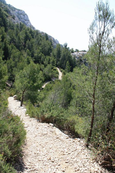 IMG_1807.JPG - NOTRE SENTIER 
