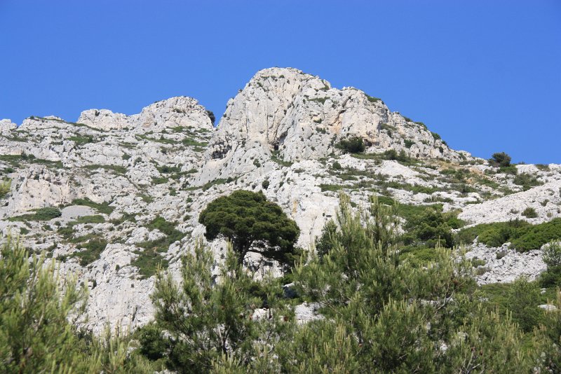 IMG_2087.JPG - UNIQUE ARBRE ET MONT PUGET