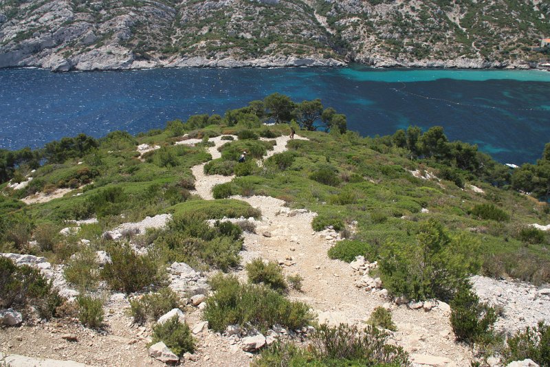 IMG_2430.JPG - SENTIER DANS LA GARRIGUE DE LA CALANQUE DE SORMIOU 