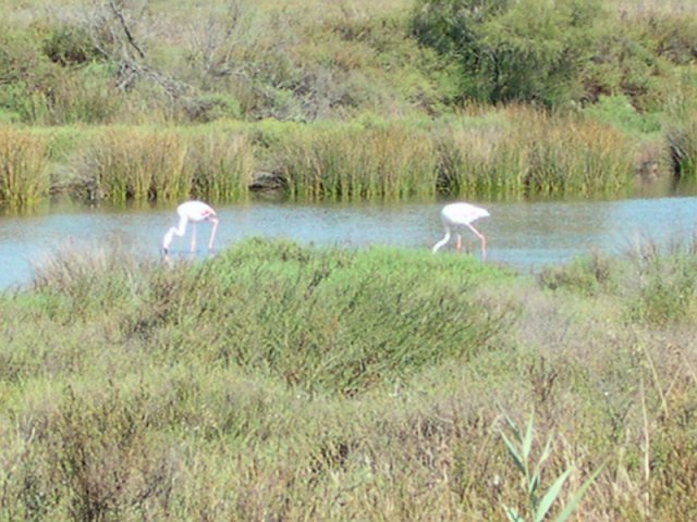 DSCN2612.JPG