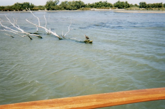File0089.jpg