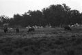File0018