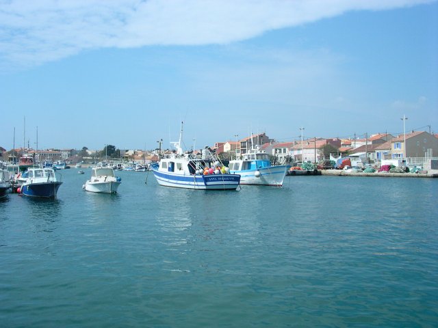 DSCN6956.JPG