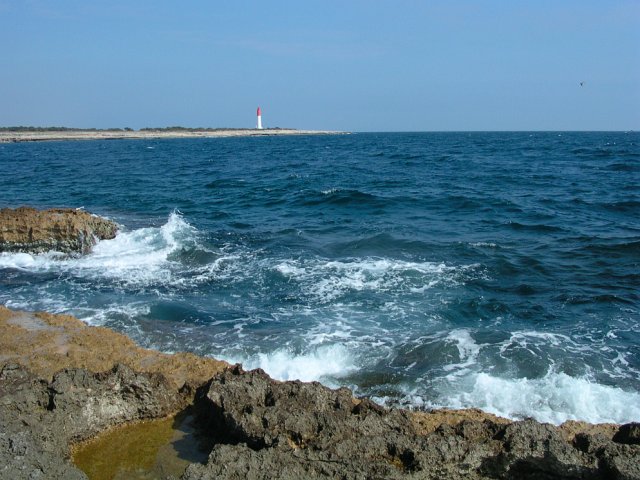 DSCN6979.JPG