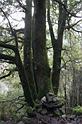 IMG_6552