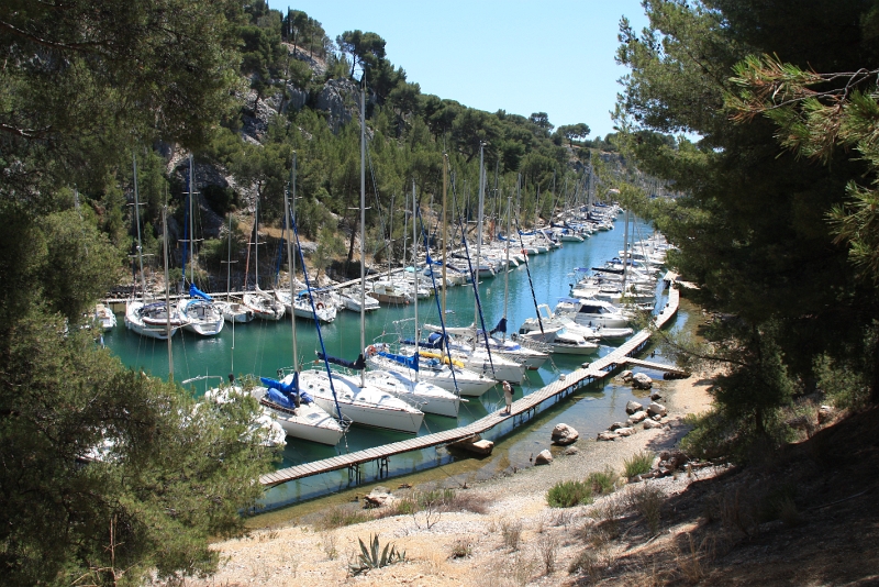 IMG_4445.JPG - CALANQUE DE PORT MIOU 