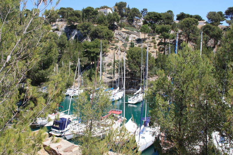 IMG_4449.JPG - CALANQUE DE PORT MIOU 