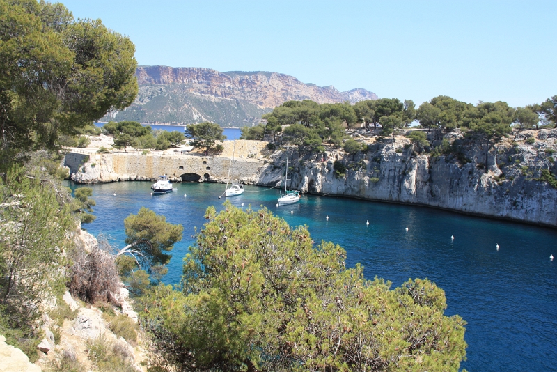 IMG_4474.JPG - CALANQUE DE PORT MIOU 