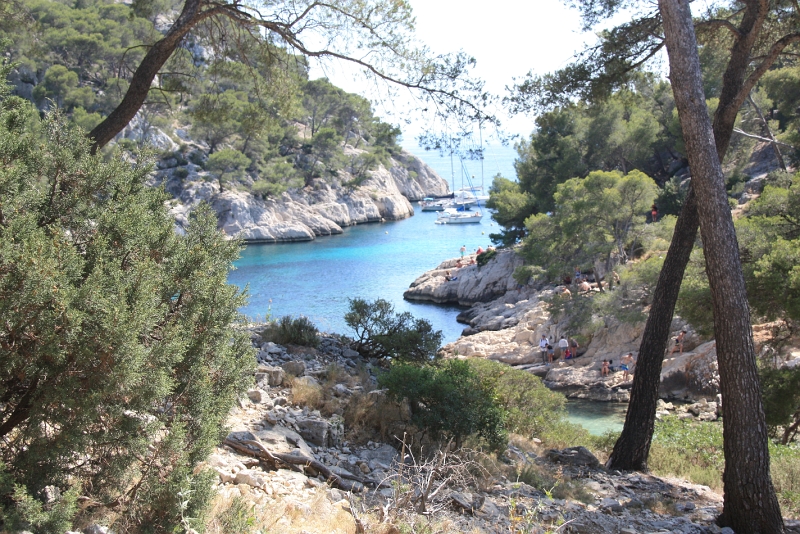 IMG_4642.JPG - CALANQUE DE PORT PIN 