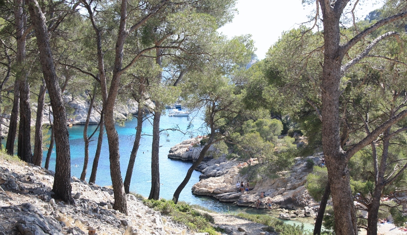 IMG_4646.JPG - CALANQUE DE PORT PIN 