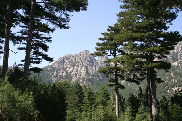 COL DE LARONE - 31