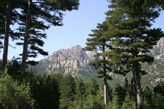 COL DE LARONE - 31