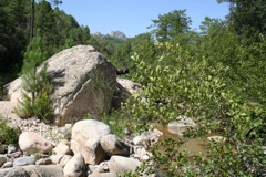 COL DE LARONE - 42