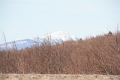 IMG_6379