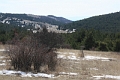 IMG_6531
