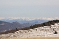 IMG_6604