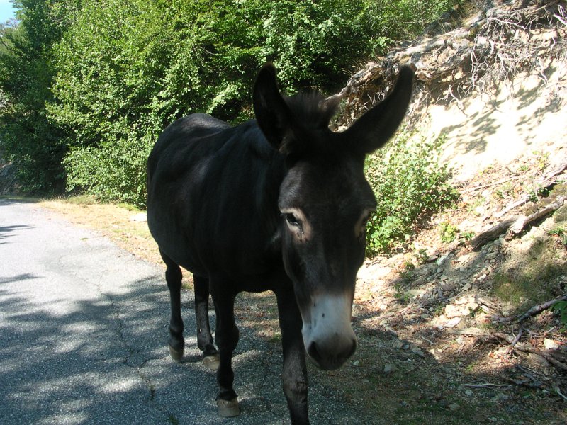 DSCN5972.JPG