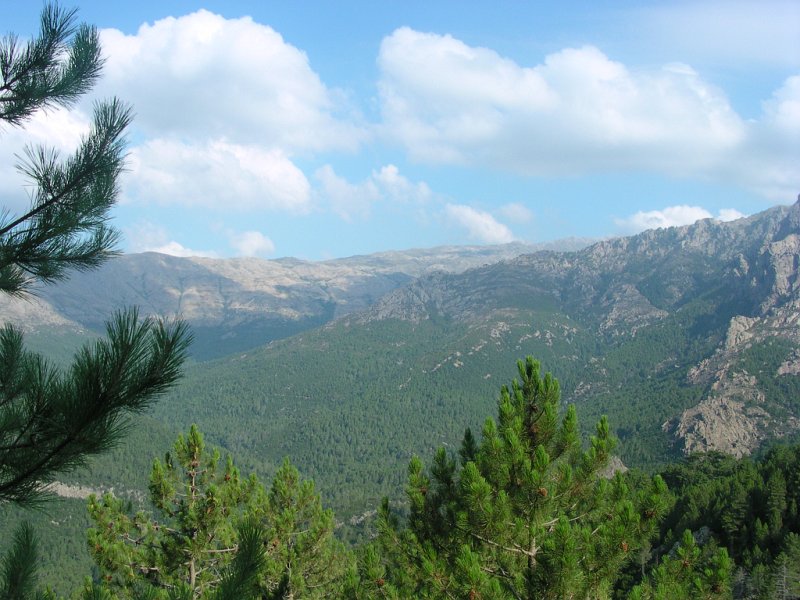 DSCN5919.JPG