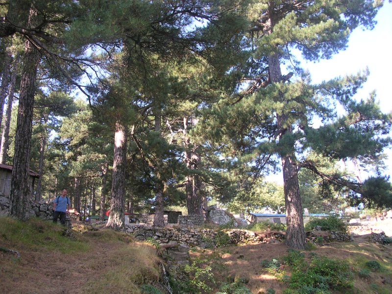 DSCN5933.JPG