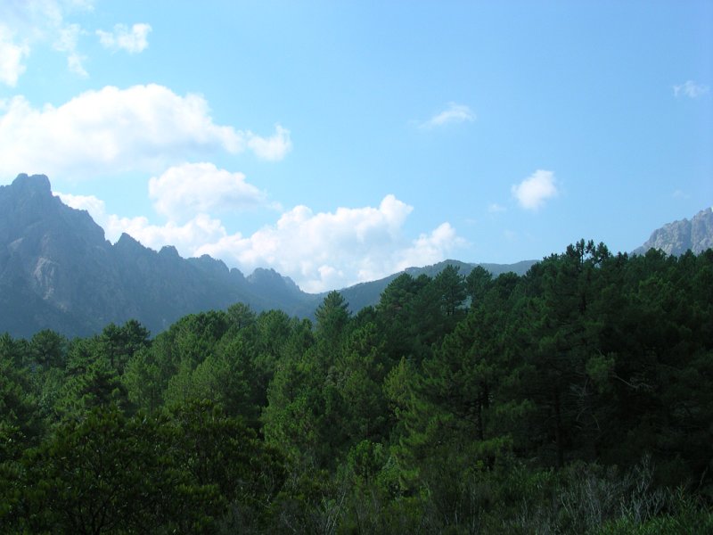 DSCN5941.JPG