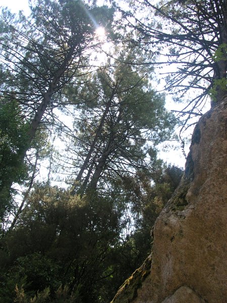 DSCN5957.JPG