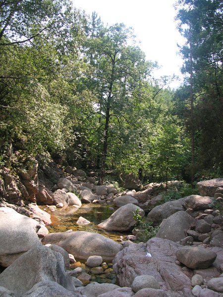 DSCN5958.JPG