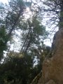 DSCN5957