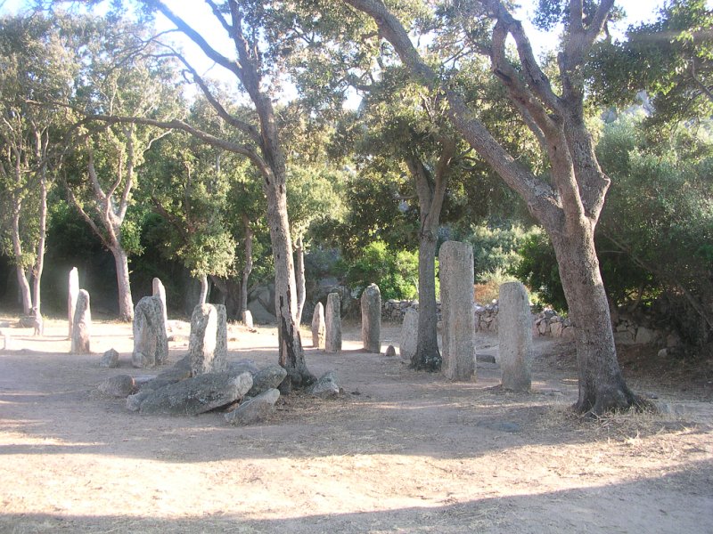 DSCN5584.JPG