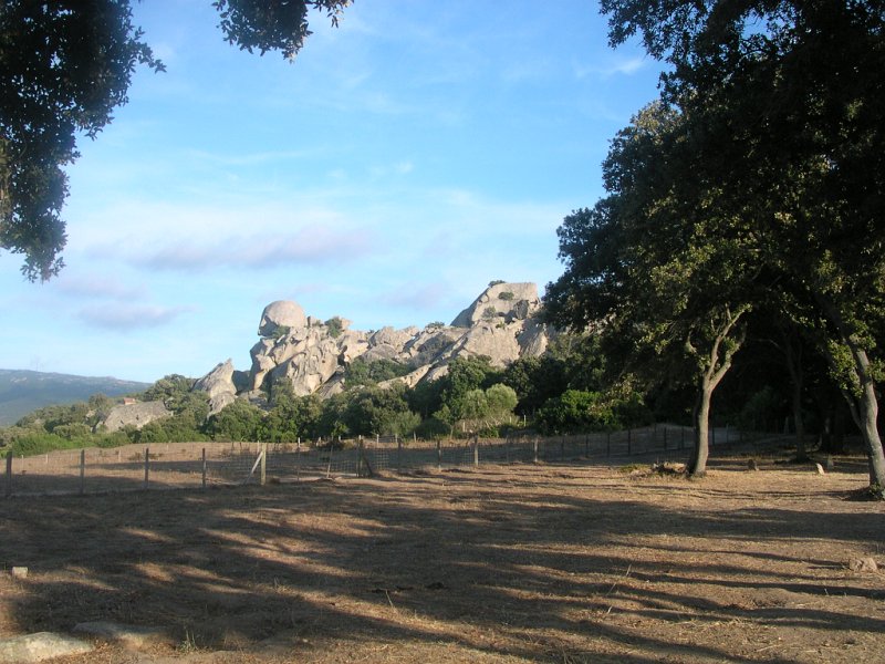 DSCN5585.JPG